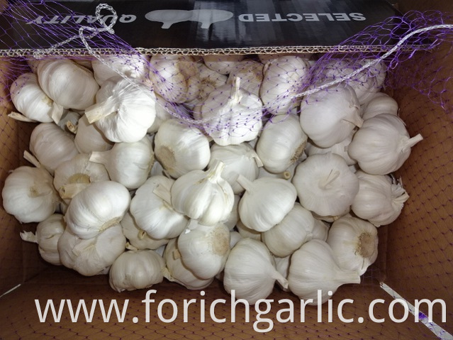 How To Store Fresh Garlic